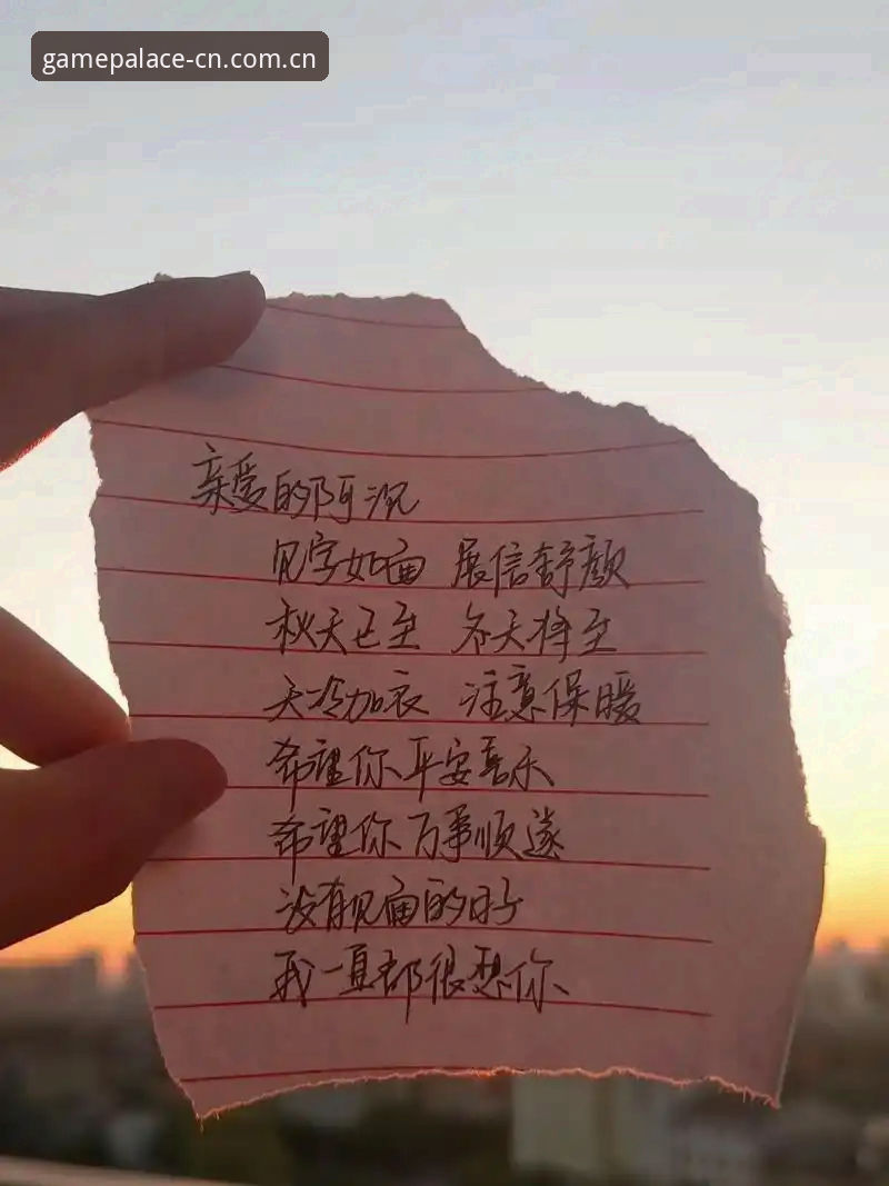坦白讲：中国官方入口网页登录安装失败这件事，我折腾了三天才搞明白